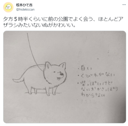 wwwwwwwwwwww123:  松本ひで吉さんはTwitterを使っています: 「夕方５時半くらいに前の公園でよく会う、ほとんどアザラシみたいないぬがかわいい。 https://t.co/NIlkGKy8En」 / Twitter