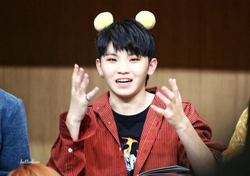 seventeenville: ~WOOZI~