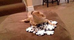 The Best of Tumblr Blog - 1000notes.com