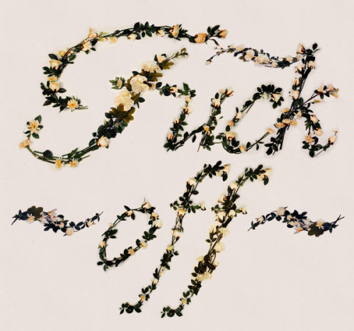 escapekit:Better With Flowers Brazilian illustrator and designer Antonio Rodrigues Jr has spelled out several offensive words with a custom typeface made of artificial flowers. Check out the the process on his Behance page. 