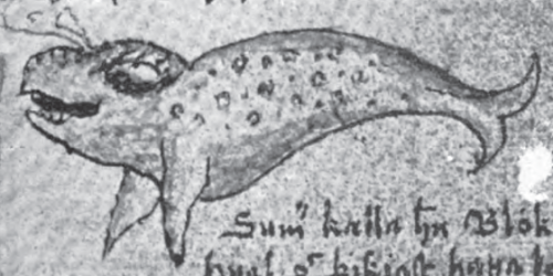 abookofcreatures:Want to see some vintage Icelandic depictions of evil whales? You’ve come to the ri