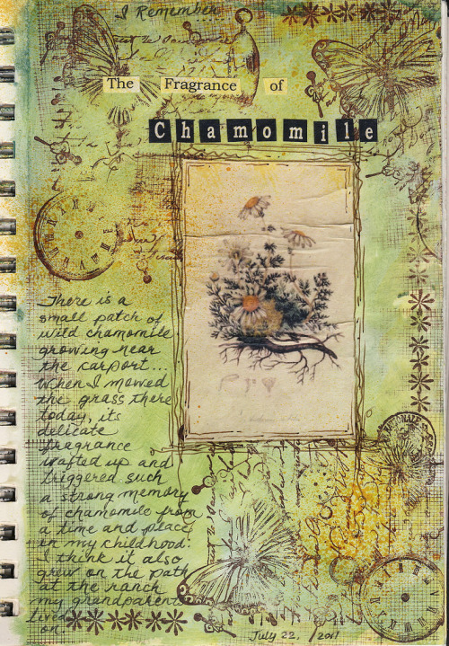 artjournaling:  Fragrance of Chamomile (by Abbajosmom)