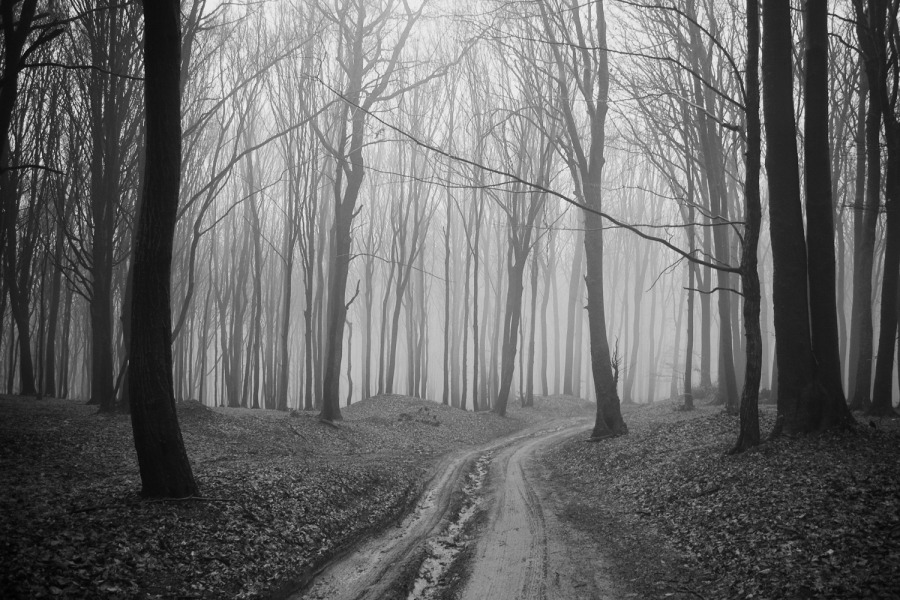 Elegy for a Dream