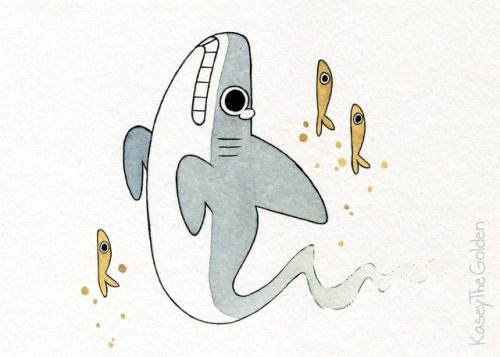 kaseythegolden:A shark and it’s many forms.Rock, poison, ghost, ground, fairy, normal, ice, sky, and
