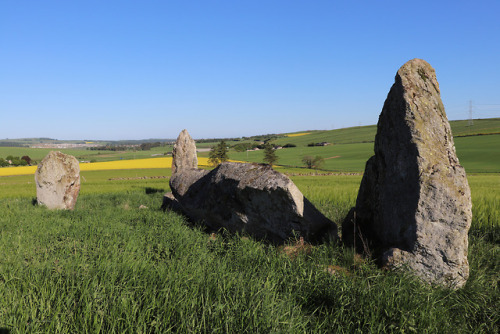 Balquhain Recumbent Stone Circle, Aberdeenshire, 27.5.18.This recumbent stone circle occupies a fant