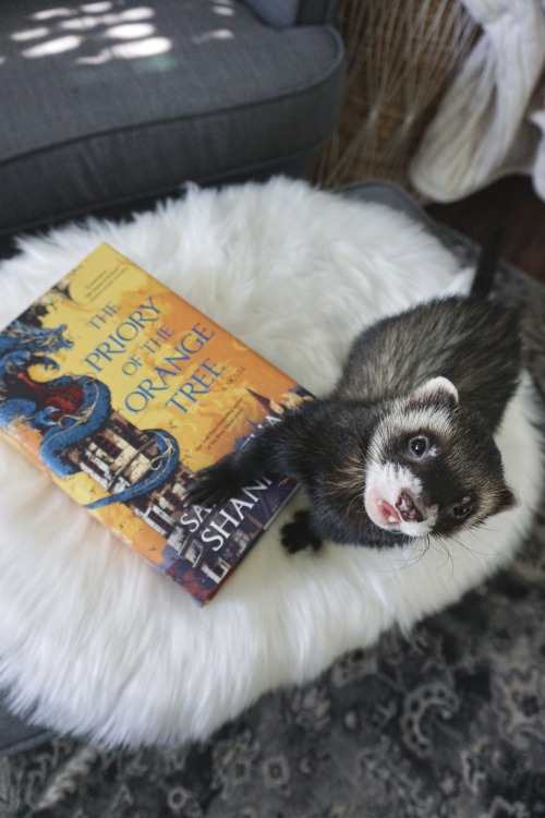 the-book-ferret: “Reading,’ Ead said lightly. ‘A dangerous pastime.” ― Samantha Shannon, The Priory 