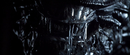 sams-film-stills:Alien (1979) Dir. Ridley adult photos