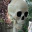 house-bone-de-borel