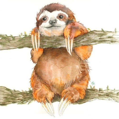 I got a lot of requests for sloths in spring, so I made sure to get one in for the winter show! Come