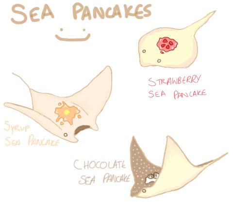 pancake stingray plush