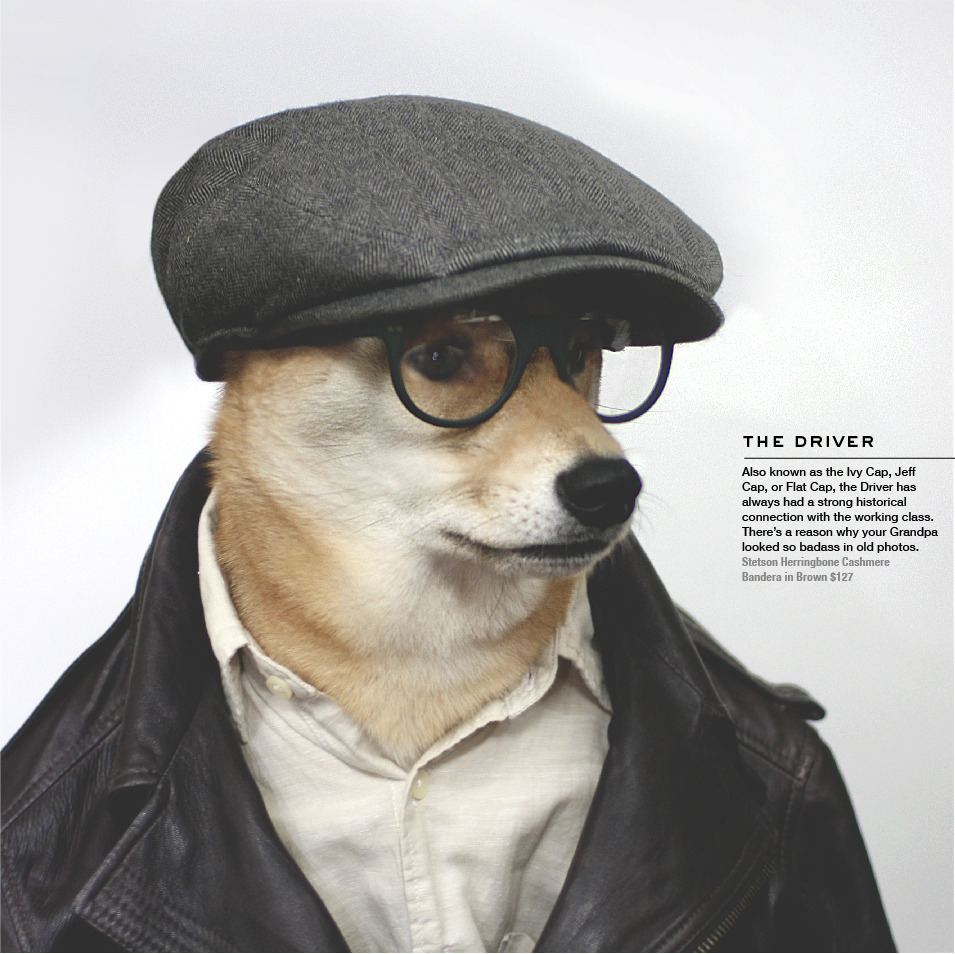newsboy hat for dogs