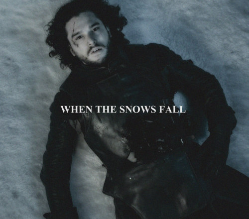 azorsnark:The winters are hard. But the Stark’s will endure. We always have. 