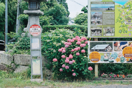 Untitled by zyu10Via Flickr:Nikon FG-20 with Ai-s Nikkor 50mm f/1.4 / Kodak Portra400 / Omi-Hachiman