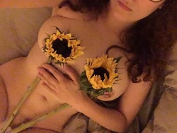 swantron:  Sunflowers are my favourite flowers