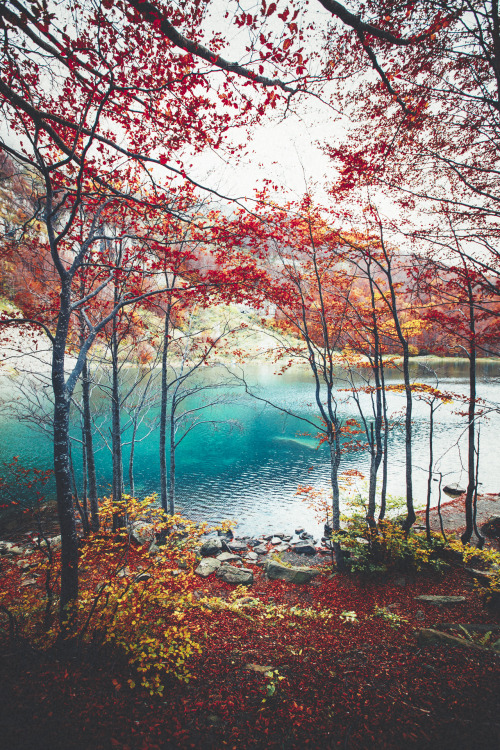 junto al lago, estará la sombra mia