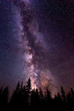 0rient-express:  Swath of wonder | by Patrick Phelan.