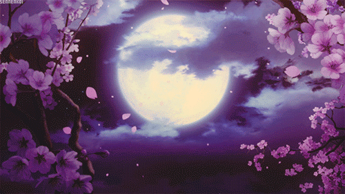 morgana-luna:  Purple aesthetic.