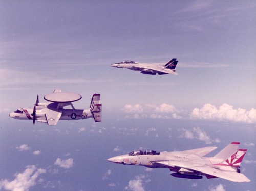 planesawesome:VF-51 Screaming Eagles and VF-111 Sundowners F-14 Tomcats in formation with an E-2 Haw