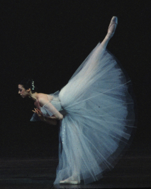 Nina Ananiashvili in Giselle. American Ballet Theatre. Metropolitan Opera House. 