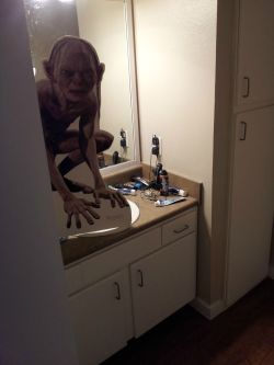 duchesscloverly:joshluke:nelyo3: dwarfsmut:  stunningpicture:  Woke up, half asleep, opened the door to the bathroom and my heart dropped down to my balls. Well played, roommate  oh god  omg   Okay no, but seriously. Do not get in a cardboard cutout war