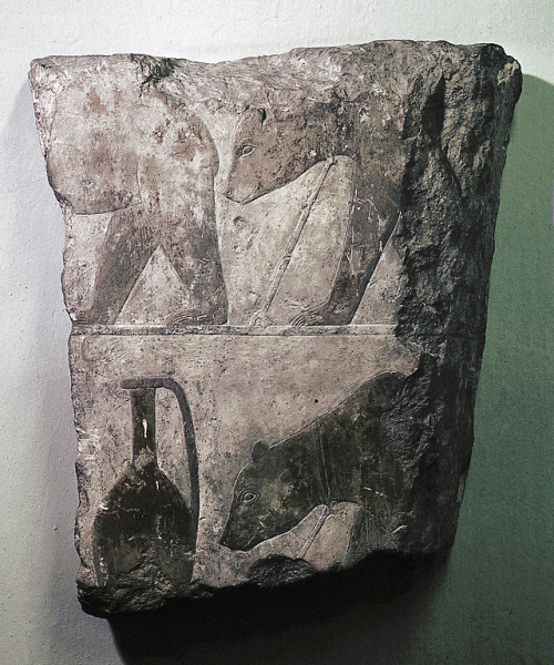 Relief of Bears and a VesselFragment of a relief depicts a Syrian tribute in the form of bears and a