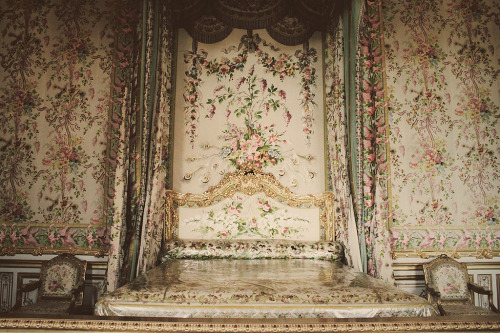 newblogisjacindaelena: palace of versailles