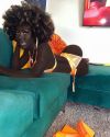 rodder-rodder:Lazelle Doll