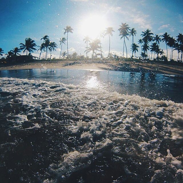 ❁ Mahalo ❁