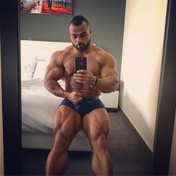 Galal Zakaria