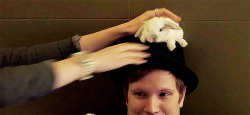 Your daily dose of cuteness!
