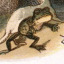 ciuapilli