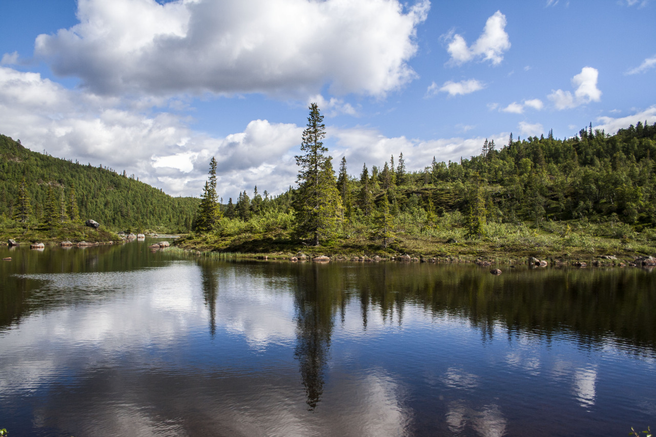 norsedragon:  Beautiful Norway. 