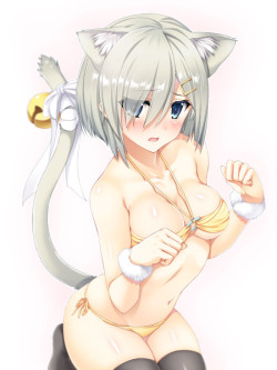 Sexy catgirls and stuff