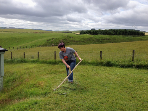 The scythe had its maiden voyage today (even though my birthday was weeks back)! I was &ndash; t