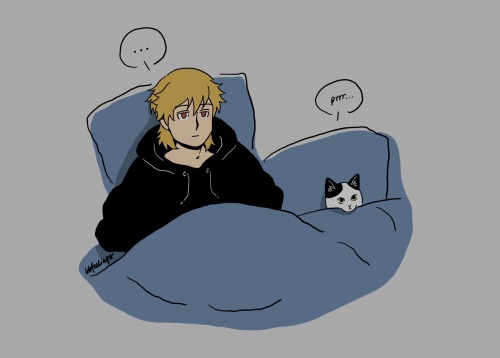 Kazuki Doesnt Not Like Cats, There Was Just A Lot Going On, You Know?