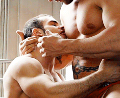 jacked-bodybuilders:  nipplepigs:  Sensual nipple sucking. For more gay nipple sucking and nippleplay, visit Nipple sucking collection at Nipple Pigs  Abele Place & Austin Wild