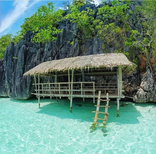 palmdreamzzz: It’s more fun on the Philippines