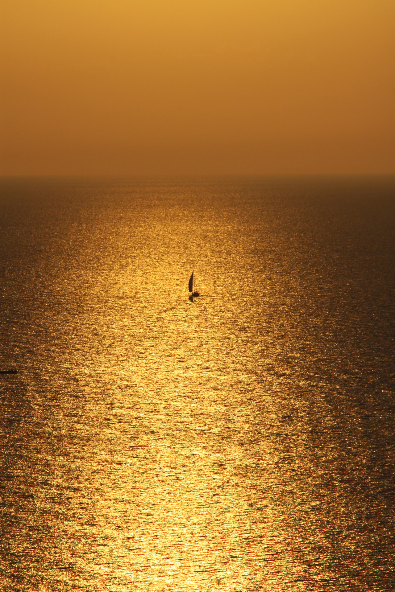 colourfulll:  mer d’or 