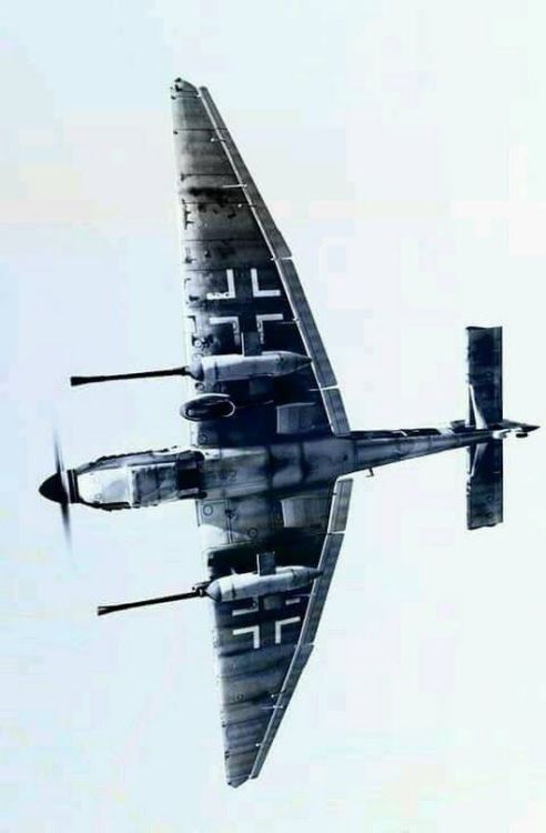 greatmilitarybattles:German JU 87 Stuka Dive Bomber Armed with 37mm Cannons.