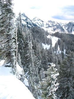 rhamphotheca:  Mount Rainier National Park,