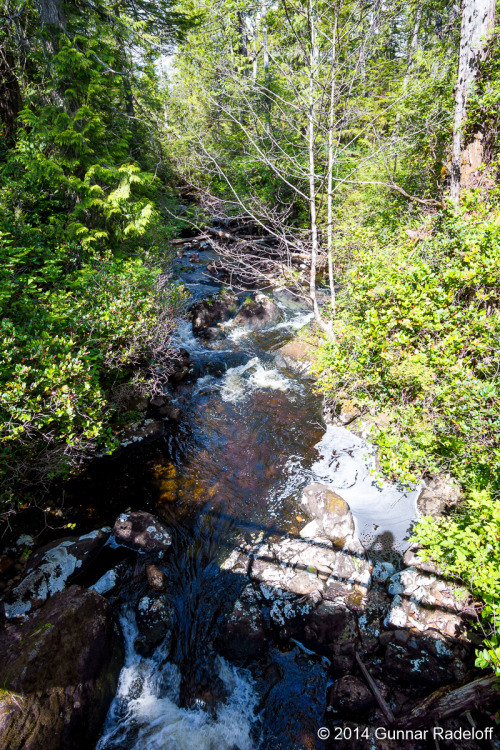 3.7.2014 - West Coast Trail you don`t disappoint!#BC #Canada #VancouverIsland #Bamfield #WestCoastTr