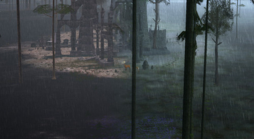  The atmosphere in The Endless Forest can now be changed according to time of day and weather in the