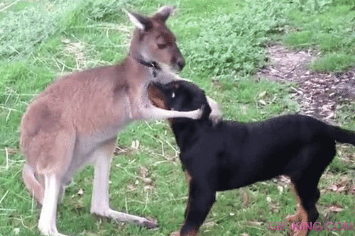 thethetwistedone: 0nigum0: I want someone to hold me. I’ve…never really had that.