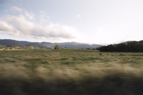 stephaniedolen:driving through Tasmanian farmland outside Launceston 