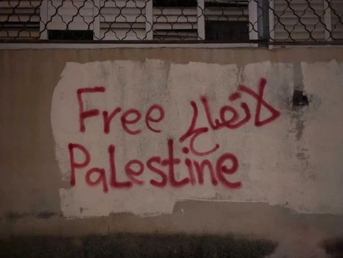 Free Palestine 🇵🇸 on Tumblr