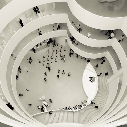 bauhaus-movement: Top of the Guggenheim Museum © Mary Anne Chilton