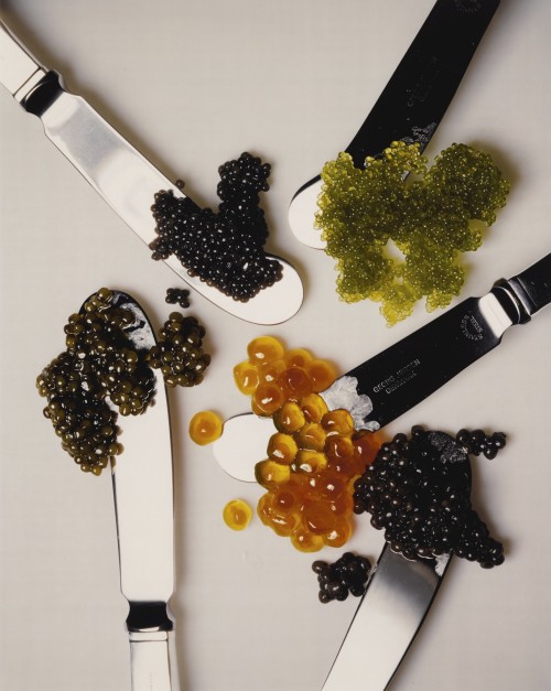 disease: IRVING PENN / CAVIAR / NY, 2001[cibachrome print, flush-mounted | 30.1 x 24″]