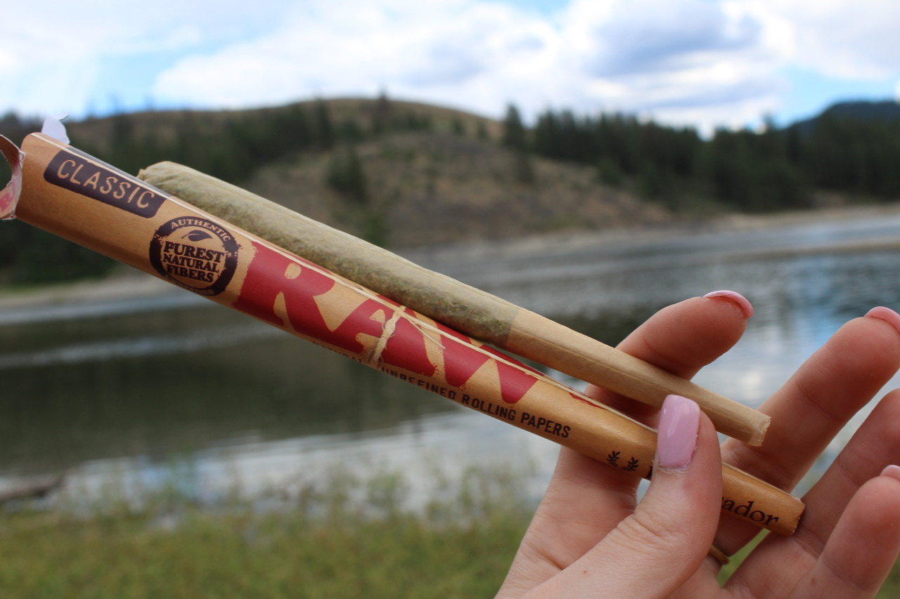 stayhigh-laylow:  WHEN YOU COME PREPARED….