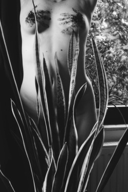 lovethenakedlife:  I accidentally knocked over a flower pot and got my hands full of dirt and in the next second I found myself holding my boobs with those dirty hands…Thank you for sharing! I love the strong contrast here and how the plants and dirt