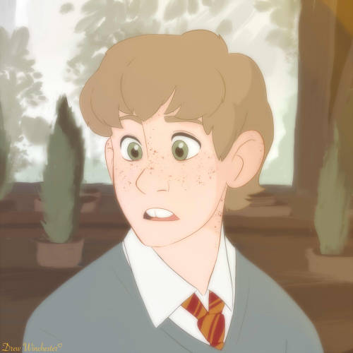 drew-winchester: Disney style Harry Potter